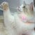 Rechargeable Motion-Activated Cat Laser Toy - Interactive Teaser for Cats & Dogs