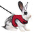 Mesh Breathable Rabbit Harness and Leash Set for Small Pets