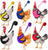 Fashion Chicken & Duck Vest Harness with Matching Collar & Lead