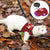 Small Pet Bowtie Harness and Leash Set for Hamster, Rabbit, Guinea Pig, and Ferret