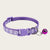 Pet Collar with Bell & Paw Print Pattern