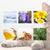Anti-Flea & Tick Drops – Insect Repellent for Cats & Dogs, Skin Care & Lice Control