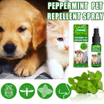 60ml Pet Flea Killer Drops – Long-Lasting Flea, Tick & Lice Control for Dogs & Cats