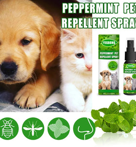 60ml Pet Flea Killer Drops – Long-Lasting Flea, Tick & Lice Control for Dogs & Cats