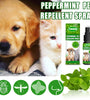 60ml Pet Flea Killer Drops – Long-Lasting Flea, Tick & Lice Control for Dogs & Cats