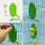 Bird Cuttlebone Holder – Cage Feeding Stand for Parrots, Budgies, & Cockatiels