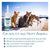 Anti-Flea & Tick Drops – Insect Repellent for Cats & Dogs, Skin Care & Lice Control