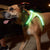 LED Light-Up Dog Harness – Adjustable & USB Rechargeable for Safety