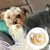Pet Calming Pacifier - Soft Silicone Teeth Chew Toy for Dogs & Cats