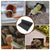 Non-Adhesive Reptile Carpet - Safe & Comfortable Bedding Mat for Snakes & Geckos