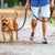 Reflective Dog & Cat Harness with Leash – Night Safety Towing Rope for Walking & Training