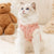 Winter Warm Clothes for Hairless Cats, Cute Cardigan Sweater with Buckle for Sphynx