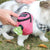 Portable Dog Treat Training Pouch with Waste Bag Dispenser