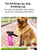 Portable Dog Water Bottle & Drinking Cup for Pets