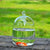Hanging Glass Fish Tank - Round/Rectangle Aquarium with Rack Holder