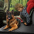 Dog Car Seat Cover - Safe & Comfortable Travel Companion | Waterproof