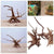 Natural Driftwood Cuckoo Roots Aquarium Decor - Reptile & Fish Tank Ornament