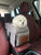 Portable Dog Car Seat Bed & Travel Carrier