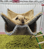 Autumn Winter Plush Hammock Bed for Small Pets