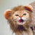 Funny Pet Wig – Lion Mane Hat for Cats & Dogs