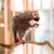 Natural Parrot Perch – Bird Stand Tree Stick for Climbing & Paw Grinding
