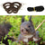 Small Pet Harness & Anti-Biting Traction Leash for Hamsters, Mice, & Squirrels