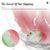 Silent Hamster & Rodent Running Wheel - Exercise Toy with Bracket