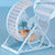 Silent Hamster & Rodent Running Wheel - Exercise Toy with Bracket