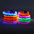 LED Dog Collar – Nylon Glow-in-the-Dark for Night Safety and Visibility