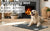 Absorbent Pet Feeding Mat with Waterproof Backing
