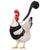 Adjustable Pet Harness Leash for Chickens, Small Dogs, Ducks, and Geese – Comfortable and Breathable Vest