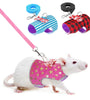 Striped Star Hamster Harness & Leash with Bowtie for Small Pets