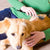 Puppy Joy Double-Sided Tear Stain Remover Brush