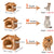Foldable Pet House – Removable & Washable Cave Sofa Bed for Extra Small Dogs & Small to Medium Cats