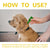 60ml Pet Flea Killer Spray – Long-Lasting Flea, Tick & Lice Control for Cats & Dogs