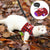Small Pet Bowtie Harness and Leash Set for Hamster, Rabbit, Guinea Pig, and Ferret