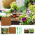 Reptile Coconut Fiber Substrate - Pressed Coir Bedding for Tortoises, Lizards & Terrariums