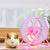 Silent Hamster & Rodent Running Wheel - Exercise Toy with Bracket