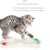 Household Cat Toy Turntable Set - Teasing Stick & Tunnel for Play