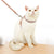 Adjustable Pet Leash and Vest Harness for Small Pets – Rabbits, Kittens, and Small Dogs