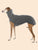 Greyhound Winter Coat & Pajamas - Turtleneck Onesie for Medium to Large Dogs