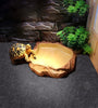 Black Terrarium Mat Bedding - Soft Substrate Liner for Reptile Habitats