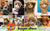Cute Lion Mane Cat Wig Costume - Pet Costume for Cats and Small Dogs | Fancy Cosplay Accessory