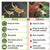 Reptile Carpet - Safe Terrarium Bedding for Snakes, Geckos & Lizards