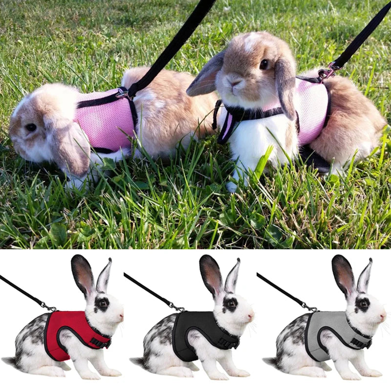 Adjustable Pet Harness & Leash for Rabbits, Bunnies, & Cats