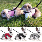 Adjustable Pet Harness & Leash for Rabbits, Bunnies, & Cats