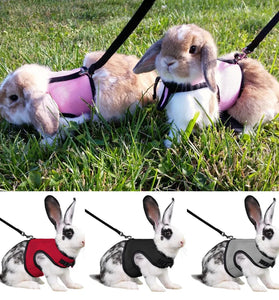 Adjustable Pet Harness & Leash for Rabbits, Bunnies, & Cats