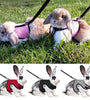 Adjustable Pet Harness & Leash for Rabbits, Bunnies, & Cats