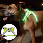 LED Light-Up Dog Harness – Adjustable & USB Rechargeable for Safety