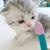Puppy Joy Soft Pet Eye Care Brush for Dogs & Cats
